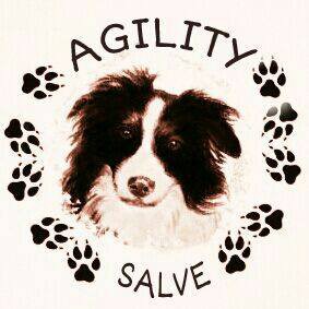 CLUB DE AGILITY SALVE